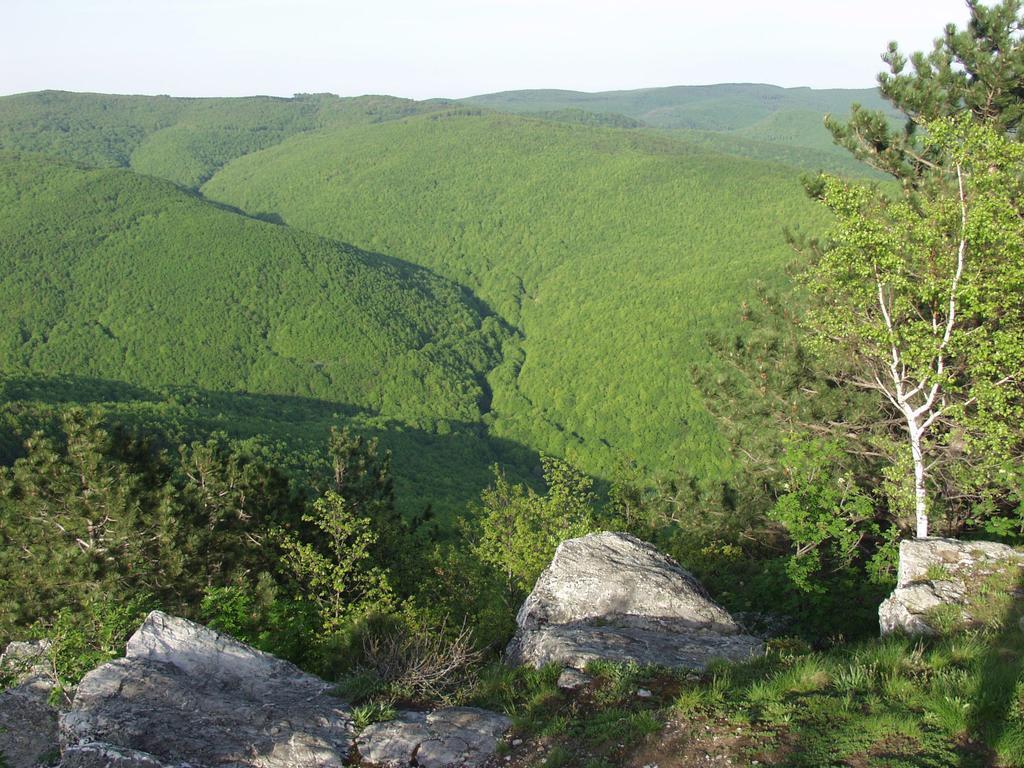 Seoski Turiziam Larva Trenkovo Exterior foto